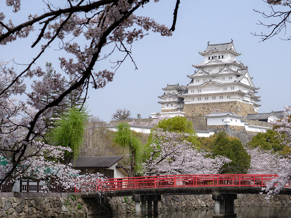 多くの観光客が訪れる世界遺産、国宝姫路城。社名の白鷺ニット工業は姫路城の異名、白鷺城にちなんでつけられた